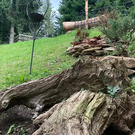 شاليه Bergchalet Zirbenzapfen يودنبورغ