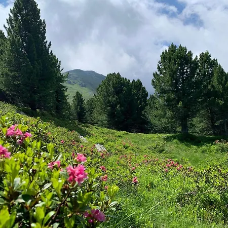 شاليه Bergchalet Zirbenzapfen يودنبورغ