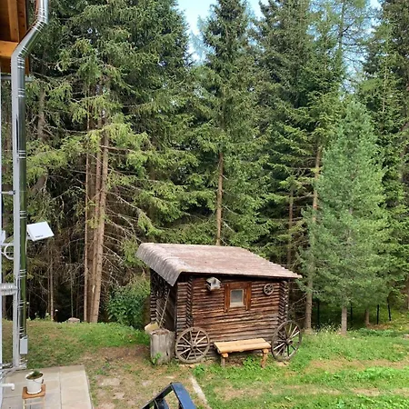 Bergluftwohnung Zirbenzapfen *