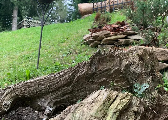 Zirbenzapfen Apartment