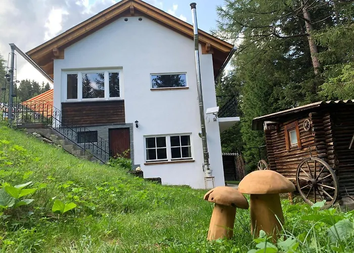 Zirbenzapfen 公寓 *