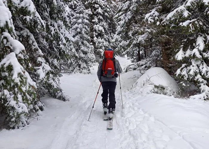Zirbenzapfen Apartment Judenburg